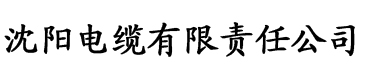 91香蕉视频轻量版电缆厂logo